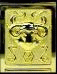 Cavaliere d'oro d'Ariete Cavaliere d'oro d'Ariete
