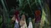 Photo Number 14