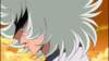 Photo Number 24