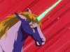 Photo Number 24