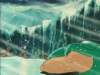Photo Number 21