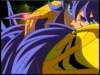Photo Number 15