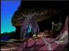 Photo Number 12