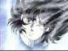 Photo Number 11