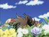 Photo Number 14