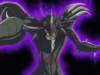 Photo Number 12