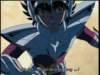 Photo Number 11