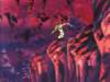 Photo Number 18