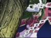 Photo Number 11