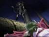 Photo Number 13