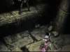 Photo Number 14
