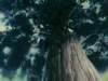 Photo Number 10