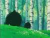 Photo Number 14
