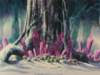 Photo Number 16