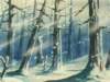 Photo Number 24