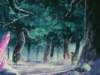 Photo Number 27
