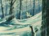Photo Number 28
