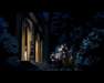 Photo Number 11