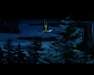 Photo Number 15