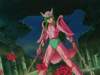 Photo Number 19
